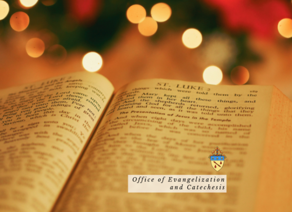 MAT II: Luke/Acts: Online - Jan. 8, 15, 22, 29, 2026